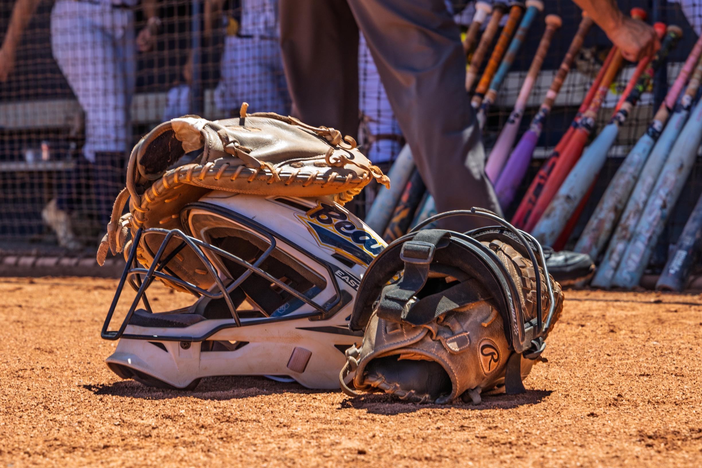 Phoenix College Sophomores Continue Their Softball Careers at Four-Year Schools